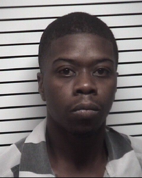 Joshua Lynn Sylvester